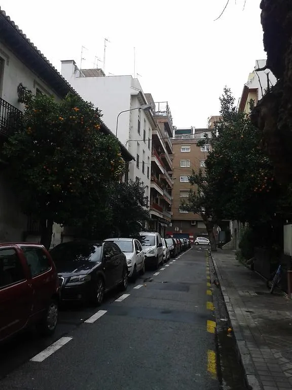 Apartamento New La Granada España